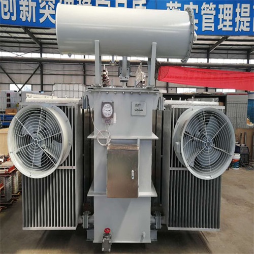 隆阳10KV油浸式变压器